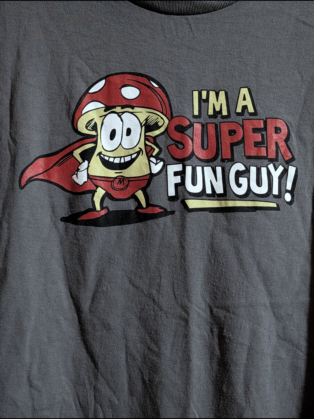 Super Fun Guy Graphic Tee - Gray Short Sleeve